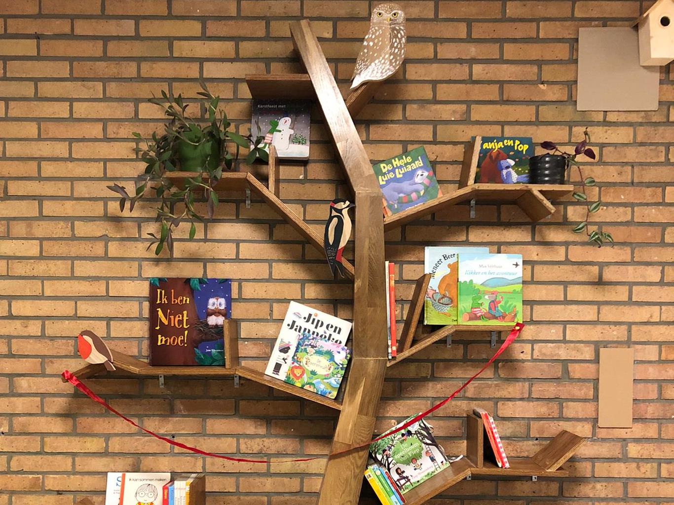 Boekenboom